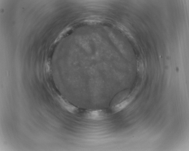 X0000078300382200611251514