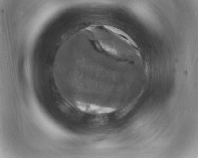 X0000078300383200611251515