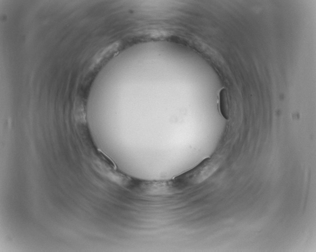 X0000078300384200611251515