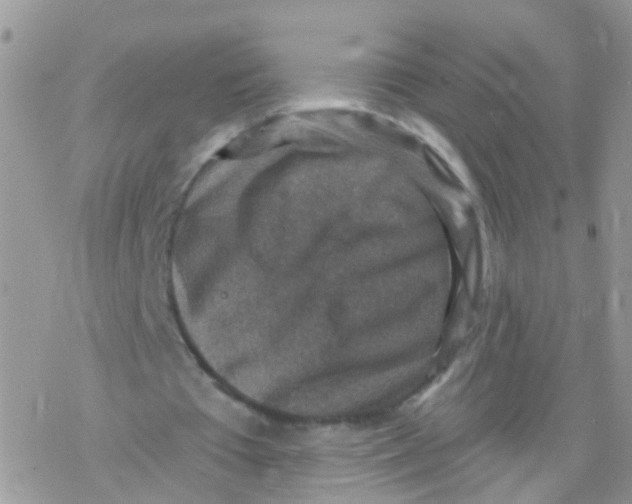 X0000078300385200611251514