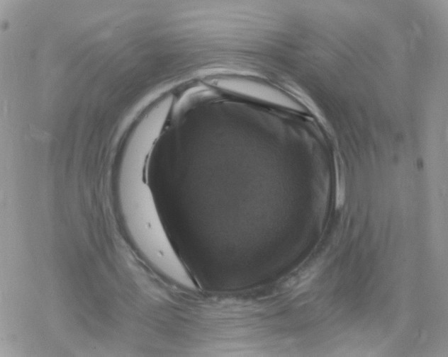 X0000078300387200611251514