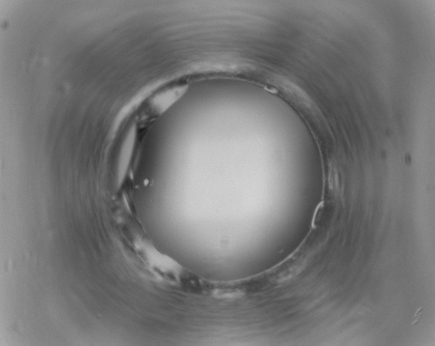 X0000078300388200611251514