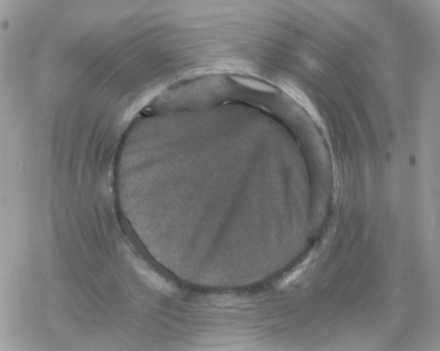 X0000078300389200611251514