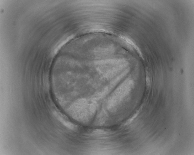 X0000078300390200611251514