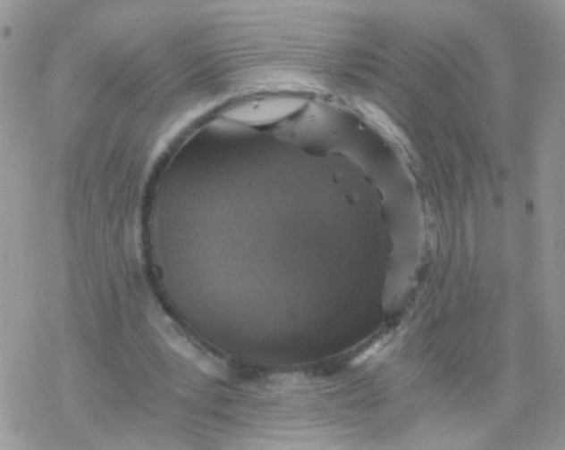 X0000078300391200611251514