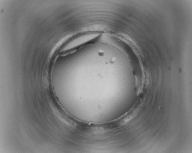 X0000078300392200611251514