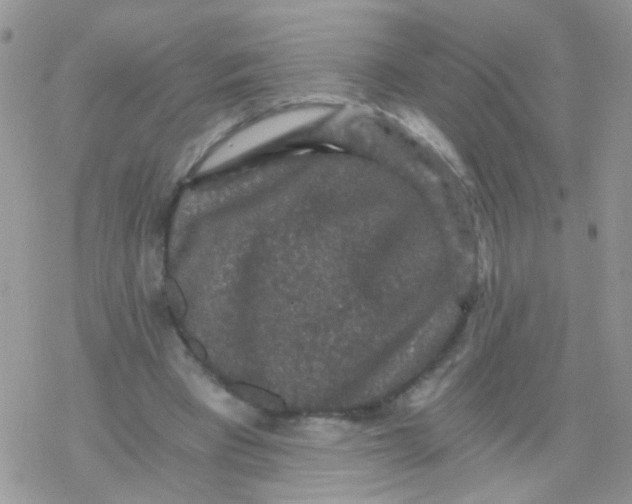 X0000078300393200611251514