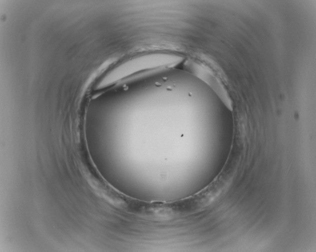 X0000078300395200611251514