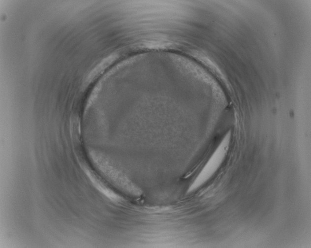 X0000078300397200611251514