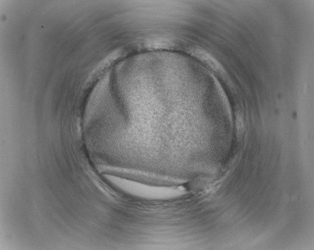 X0000078300401200611251513