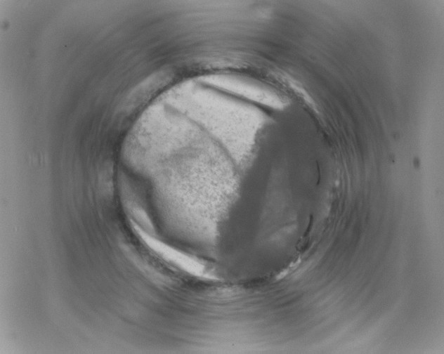 X0000078300402200611251513