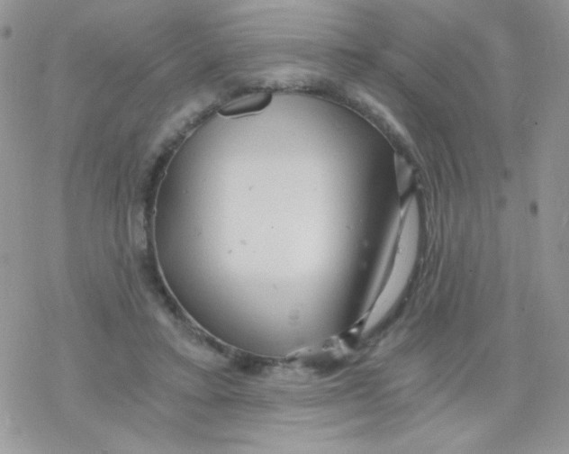 X0000078300403200611251513