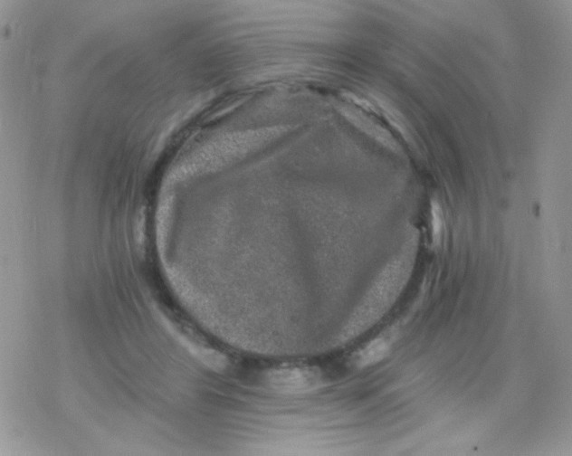 X0000078300404200611251513