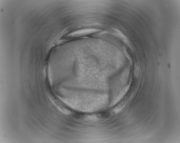 X0000078300405200611251513