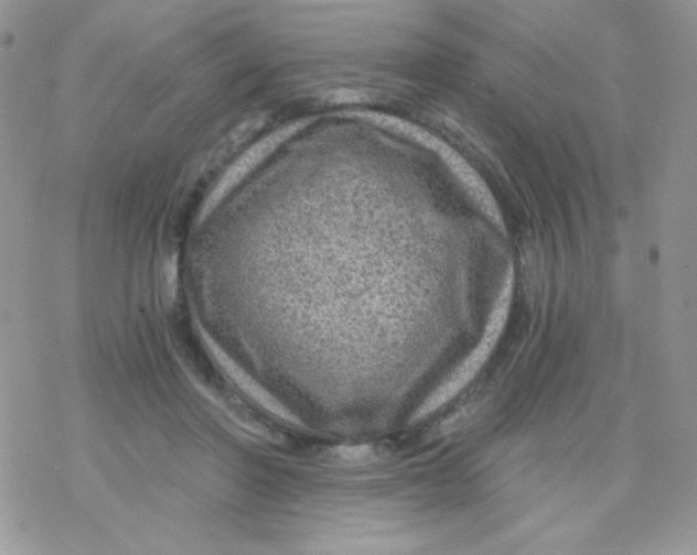 X0000078300406200611251513