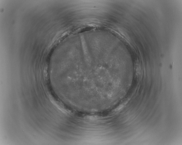 X0000078300408200611251513