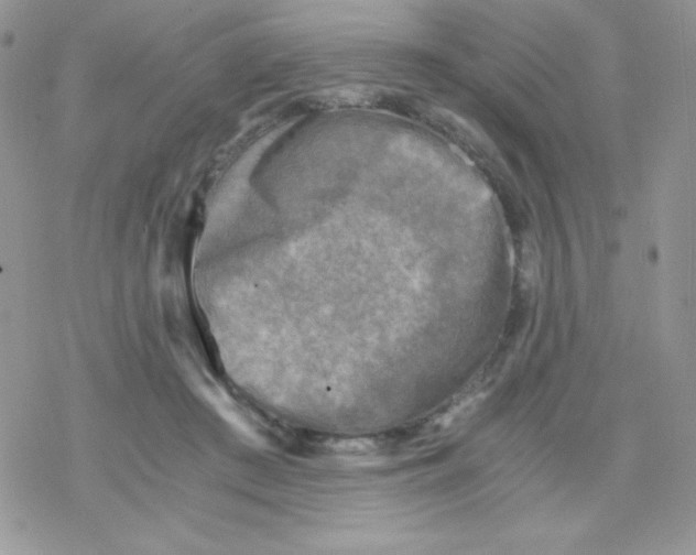 X0000078300409200611251513