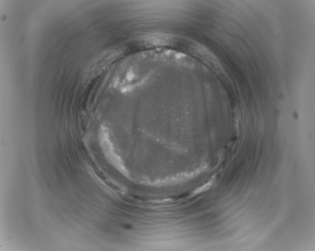 X0000078300410200611251513