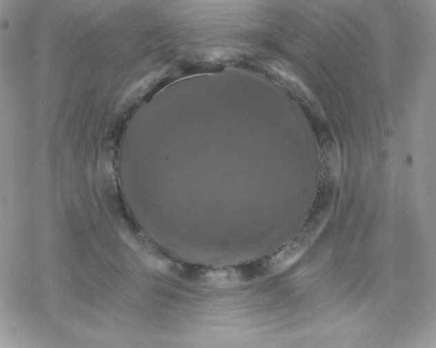 X0000078300415200611251513