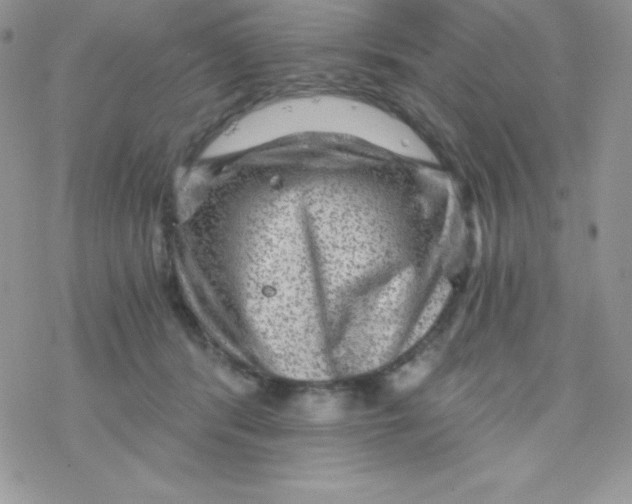 X0000078300416200611251513