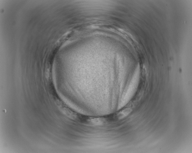 X0000078300417200611251513