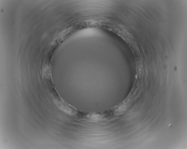 X0000078300419200611251513