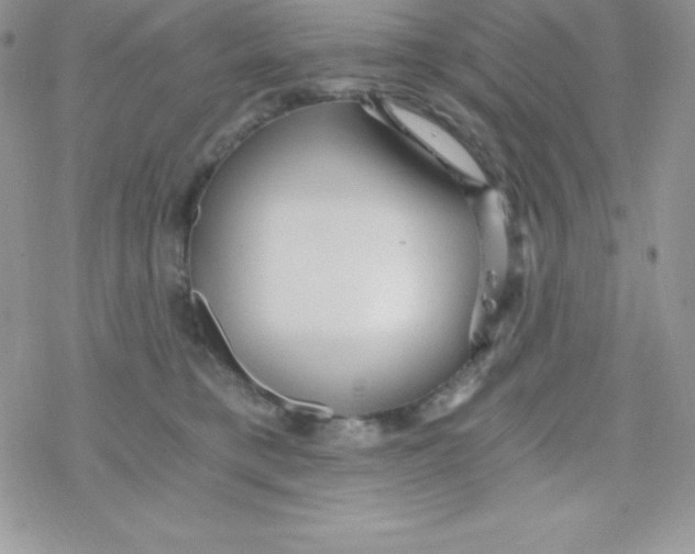 X0000078300421200611251513