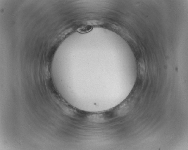 X0000078300422200611251513