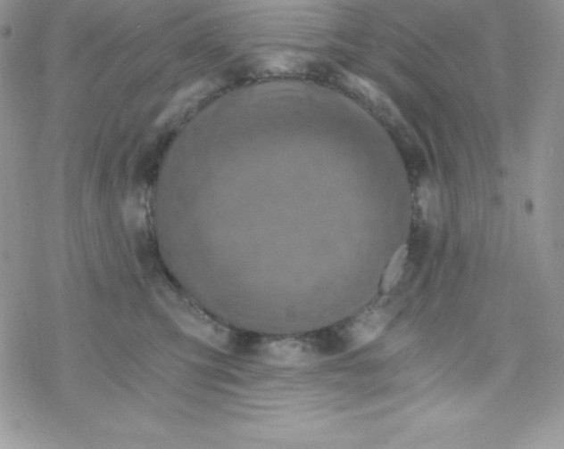 X0000078300423200611251513