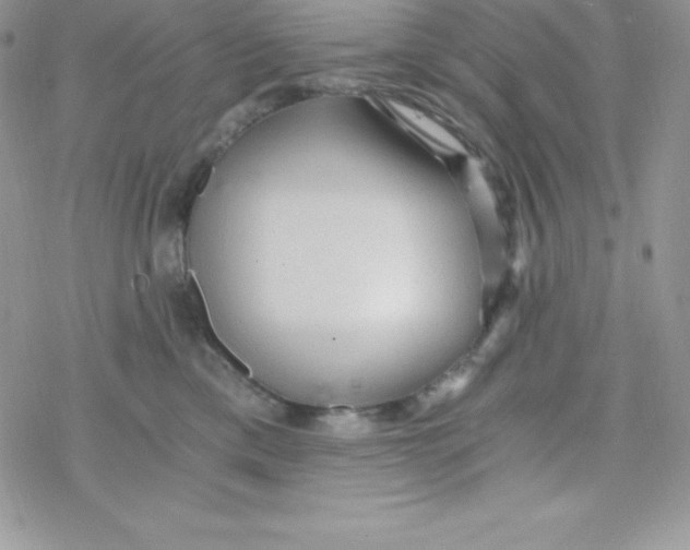 X0000078300425200611251513