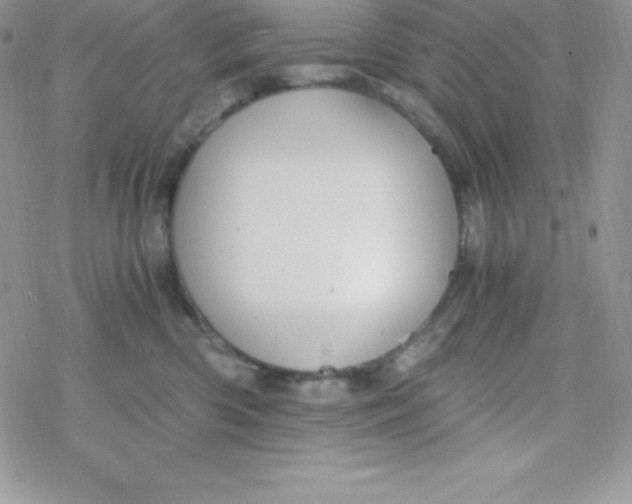 X0000078300426200611251513