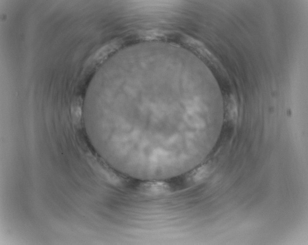 X0000078300427200611251513