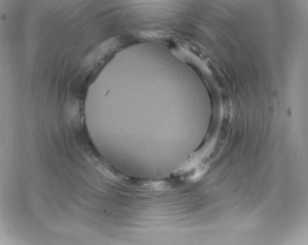 X0000078300428200611251513