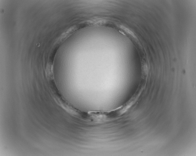 X0000078300429200611251513