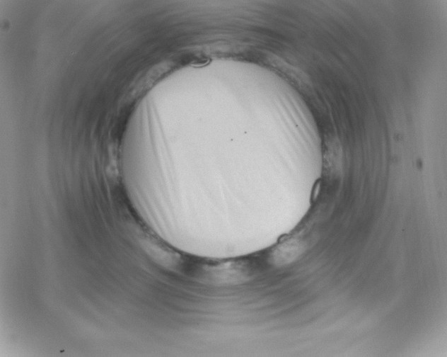 X0000078300430200611251513