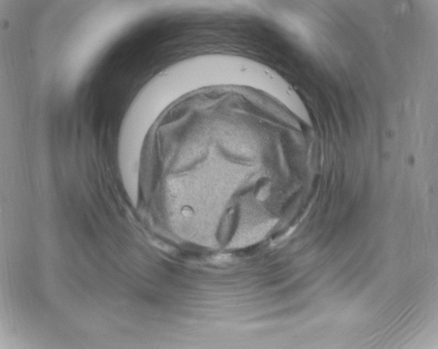 X0000078300431200611251513