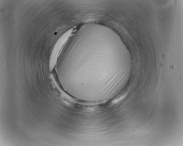 X0000078300432200611251513