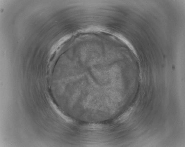 X0000078300437200611251512