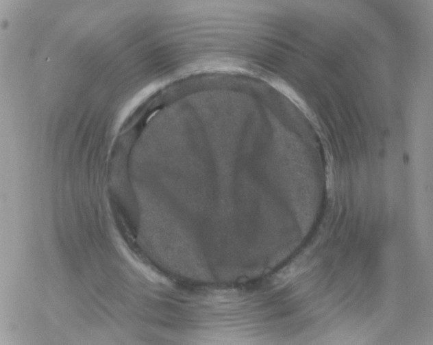 X0000078300438200611251512