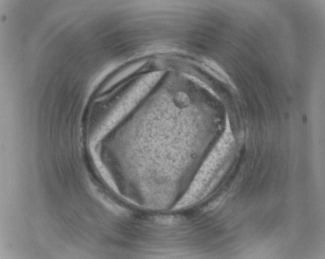 X0000078300439200611251512