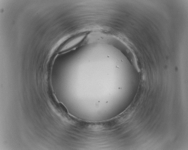 X0000078300440200611251512