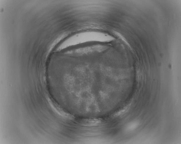 X0000078300443200611251512