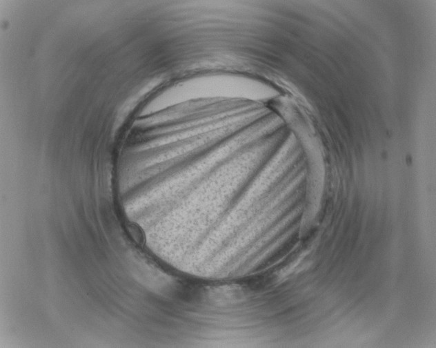 X0000078300446200611251512