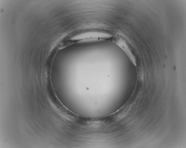 X0000078300448200611251512