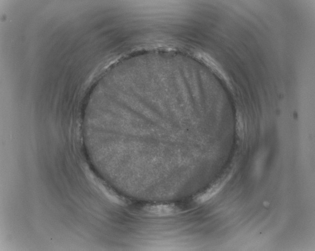 X0000078300449200611251512