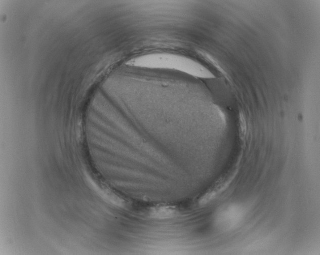 X0000078300451200611251512