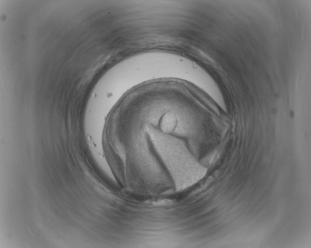 X0000078300452200611251513