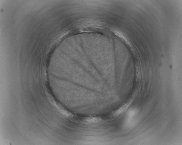 X0000078300453200611251513