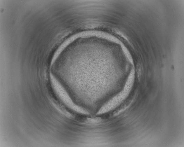 X0000078300455200611251513