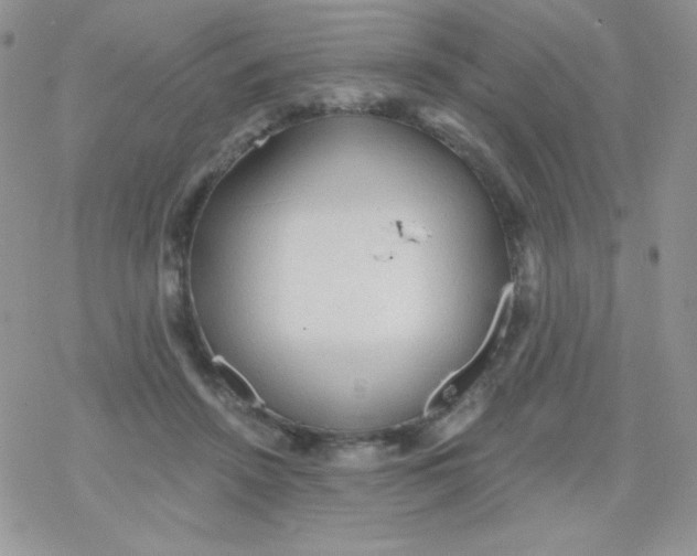 X0000078300456200611251513